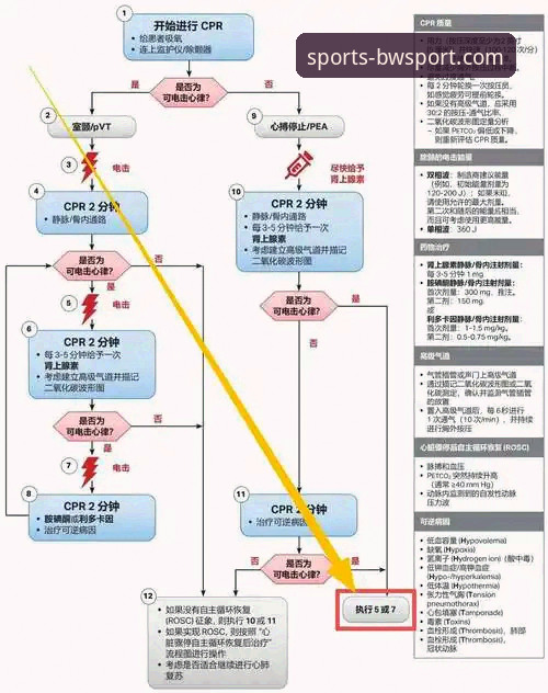 宝威体育新手教程哪个好？2025新版官方指南深度解析